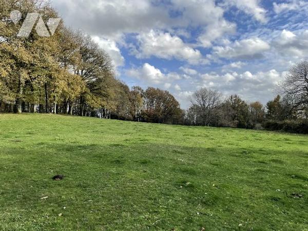 MAISON ET DEPENDANCES SUR PLUS D'UN HECTARE