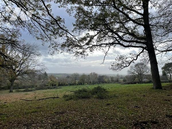 MAISON ET DEPENDANCES SUR PLUS D'UN HECTARE