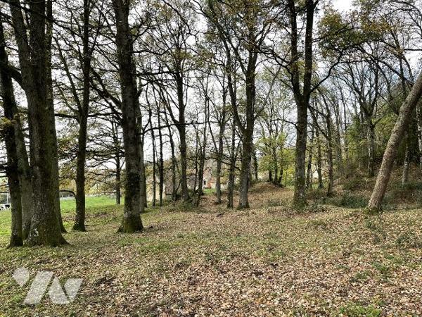 MAISON ET DEPENDANCES SUR PLUS D'UN HECTARE