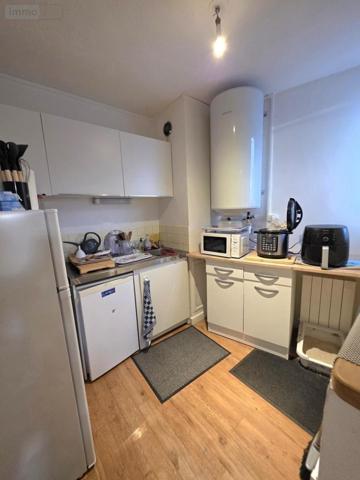 Appartement à vendre à Vierzon dans le Cher (18100), ref : 18058-77