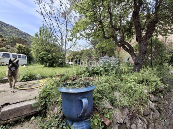 Maison avec jardin