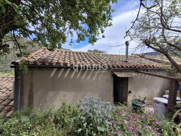 Maison avec jardin