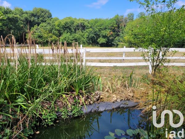 Maison à vendre 7 pièces 245 m² Romagne