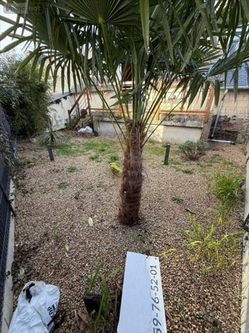 Maison rurale à louer à Collorec dans le Finistère (29530), ref : 29064-1093660