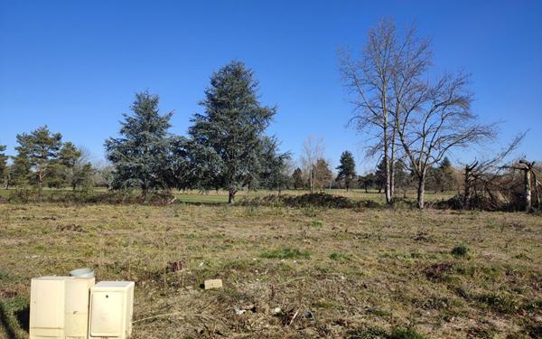 Terrain à vendre    Artiguelouve