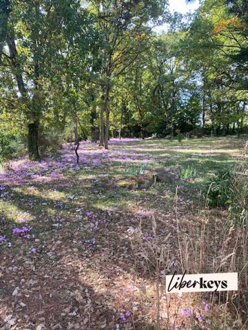 Maison 7 pièces 158 m² 4/5 chambres Le Thoureil