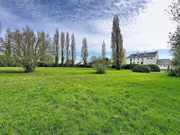 Terrain à ALLAIRE (56350)