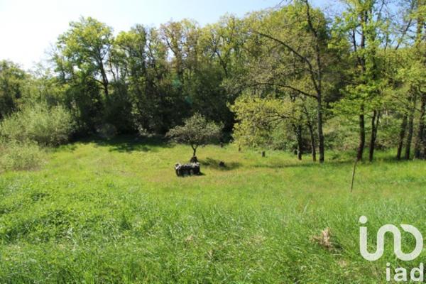 Terrain à vendre 1 001 m² Veuzain-sur-Loire