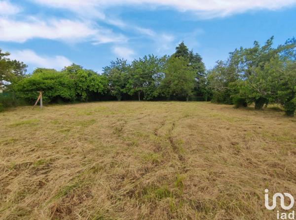 Terrain à vendre 1 650 m² Lussac-les-Châteaux