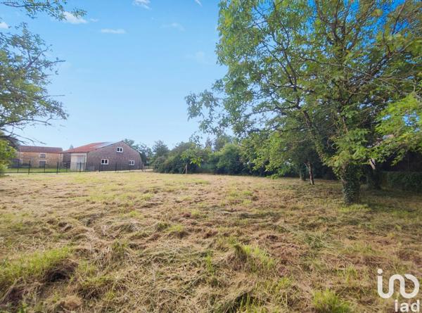 Terrain à vendre 1 650 m² Lussac-les-Châteaux