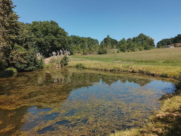 Terrain de loisirs Lureuil