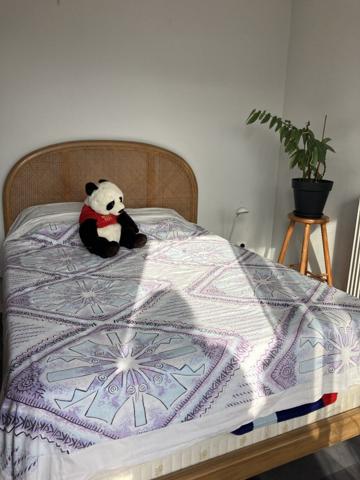 POUR INVESTISSEUR BILLERE APPARTEMENT OCCUPE