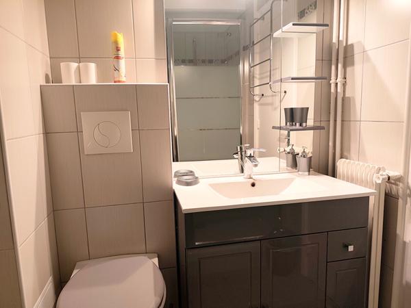 Grand studio meublé en très bon état