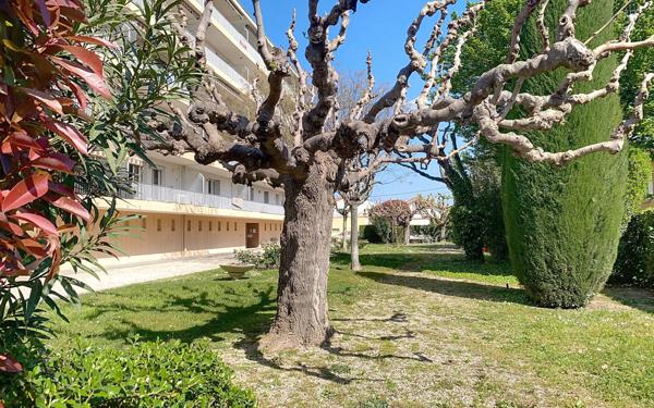 Appartement à vendre    4 pièces • 77,42 m2 Avignon