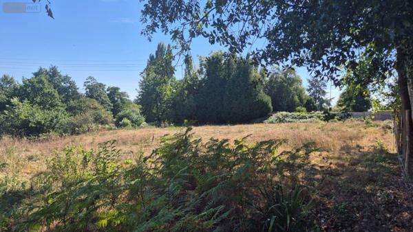 Terrain à Batir à vendre à Gorron en Mayenne (53120), ref : 2882