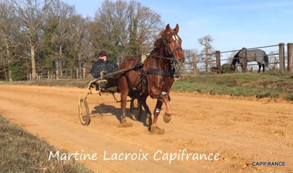 Dpt SARTHE (72), à vendre LA FERTÉ-BERNARD - PROPRIÉTÉ P5 de 100 m² - Terrain de 10 Ha
