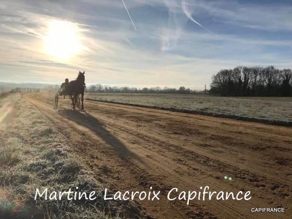 Dpt SARTHE (72), à vendre LA FERTÉ-BERNARD - PROPRIÉTÉ P5 de 100 m² - Terrain de 10 Ha