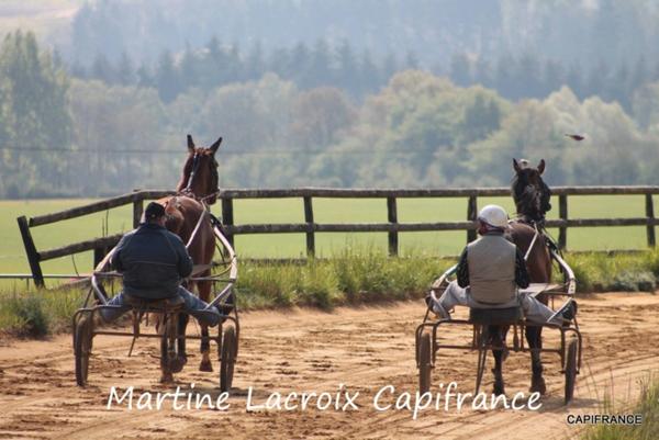 Dpt SARTHE (72), à vendre LA FERTÉ-BERNARD - PROPRIÉTÉ P5 de 100 m² - Terrain de 10 Ha