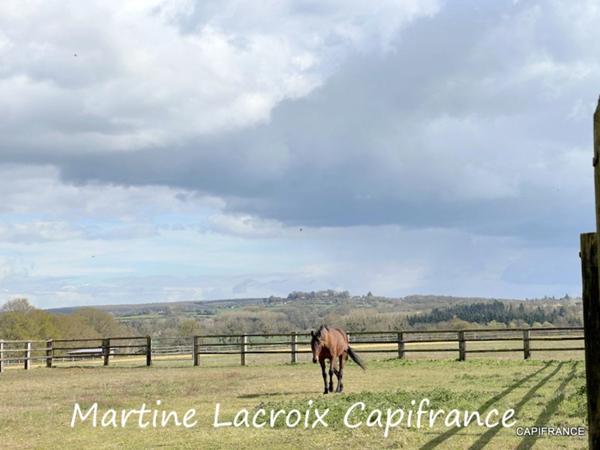 Dpt SARTHE (72), à vendre LA FERTÉ-BERNARD - PROPRIÉTÉ P5 de 100 m² - Terrain de 10 Ha