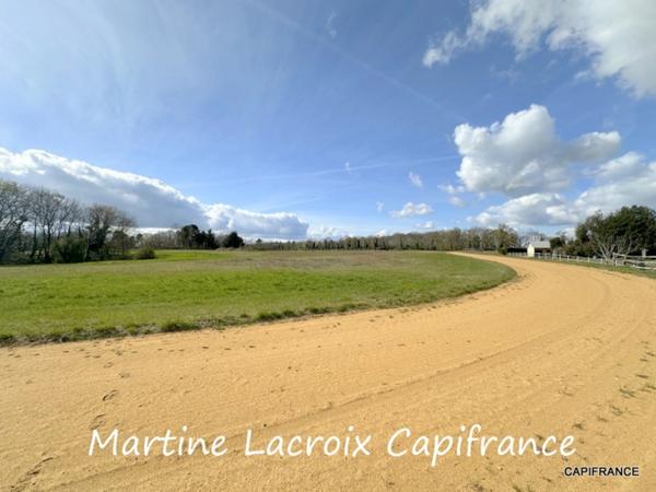 Dpt SARTHE (72), à vendre LA FERTÉ-BERNARD - PROPRIÉTÉ P5 de 100 m² - Terrain de 10 Ha