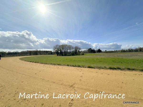 Dpt SARTHE (72), à vendre LA FERTÉ-BERNARD - PROPRIÉTÉ P5 de 100 m² - Terrain de 10 Ha