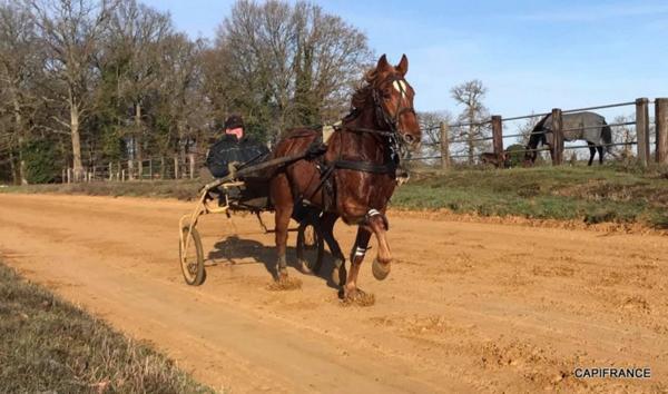 Dpt SARTHE (72), à vendre LA FERTÉ-BERNARD - PROPRIÉTÉ P5 de 100 m² - Terrain de 10 Ha