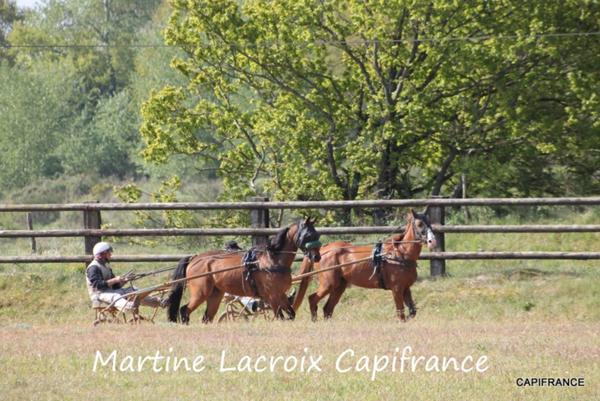 Dpt SARTHE (72), à vendre LA FERTÉ-BERNARD - PROPRIÉTÉ P5 de 100 m² - Terrain de 10 Ha