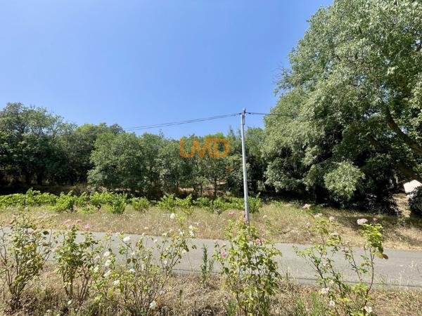 Terrain Constructible - Calme - Nature - Cessenon-sur-Orb