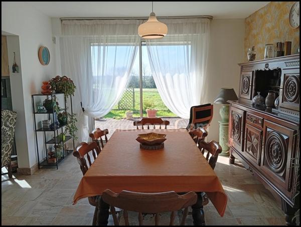 Une Maison, Un Grand Terrain, Un Hangar : L'Espace pour Tous Vos Projets !