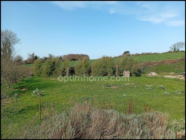 Une Maison, Un Grand Terrain, Un Hangar : L'Espace pour Tous Vos Projets !