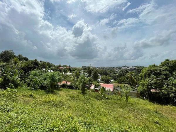 Vente Terrain 800 m2 à Ducos