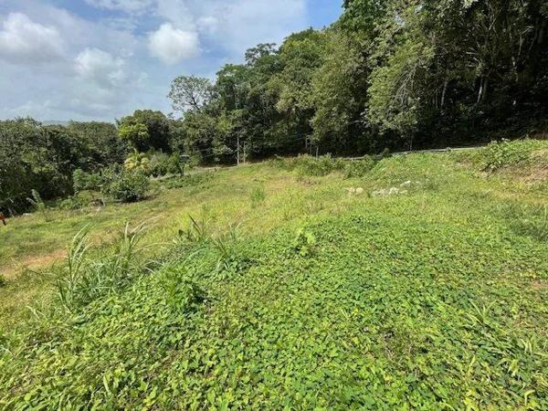 Vente Terrain 800 m2 à Ducos