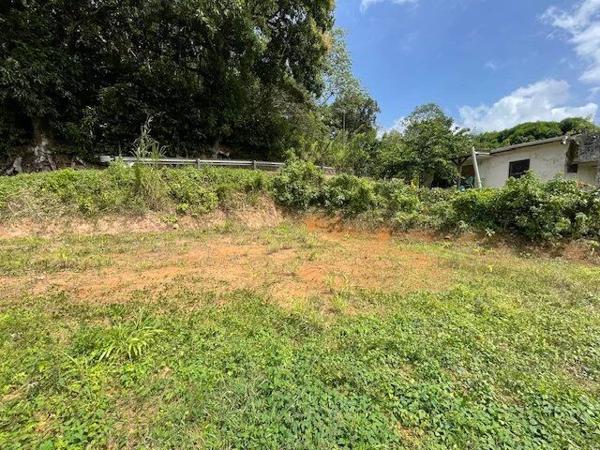 Vente Terrain 800 m2 à Ducos