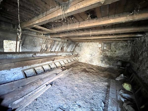 Saint-Laurent-du-Pont (38380) Beau potentiel et du cachet pour ce tènement immobilier à restaurer - à 30 mn de Grenoble et Chambéry