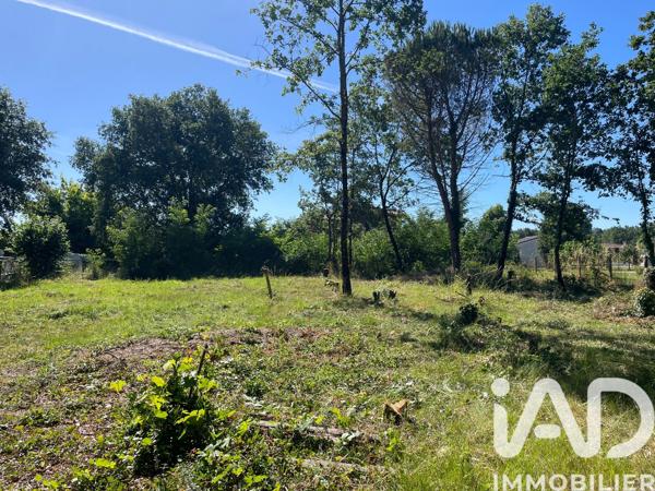Terrain à vendre 3 604 m² Montbartier