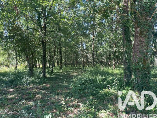 Terrain à vendre 3 604 m² Montbartier