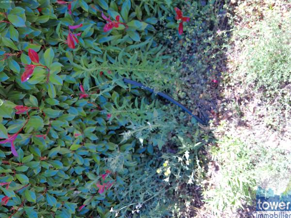 Terrain constructible près du centre du village