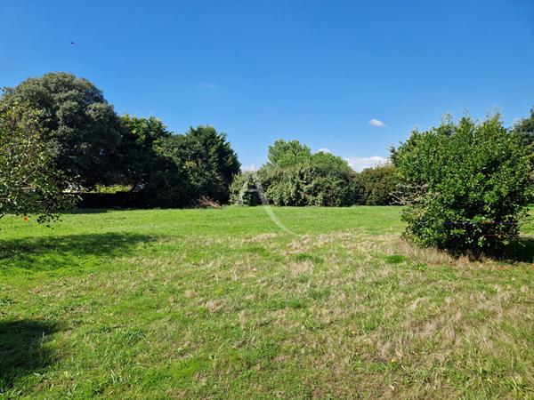 Terrain Brem Sur Mer 544 m2