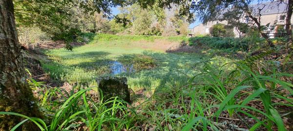 Questembert, longère indépendante à rafraichir sur 5Ha de bois