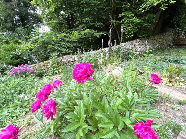 Maison à vendre à La Chaussée-Saint-Victor dans le Loir-et-Cher (41260), ref : 41002-1082205