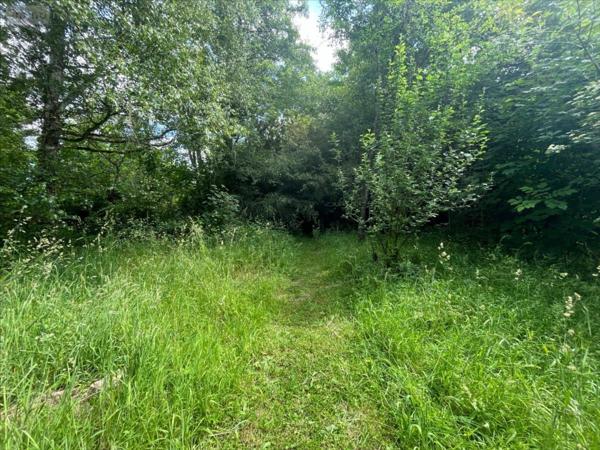 Maison à vendre à La Chaussée-Saint-Victor dans le Loir-et-Cher (41260), ref : 41002-1082205