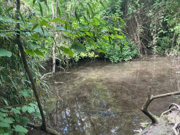 Maison à vendre à La Chaussée-Saint-Victor dans le Loir-et-Cher (41260), ref : 41002-1082205