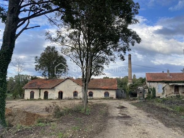 Local commercial de 700 m²