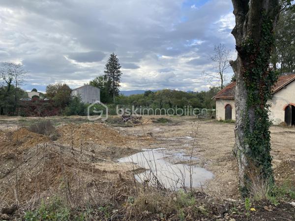 Local commercial de 700 m²