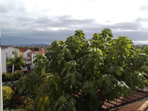 Appartement en location à Clermont-Ferrand Quartier Lafayette/Oradou