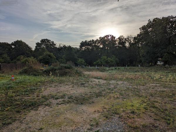 Terrain à Batir à vendre à Changé dans la Sarthe (72560), ref : CHTAB10