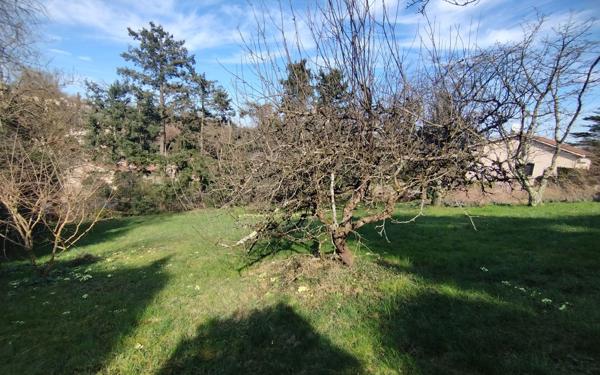 Terrain à vendre    Curis-au-Mont-d'Or