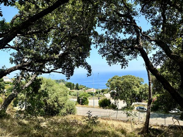 Vente TERRAIN AVEC PERMIS BASTIA CARDO 2 MAISONS