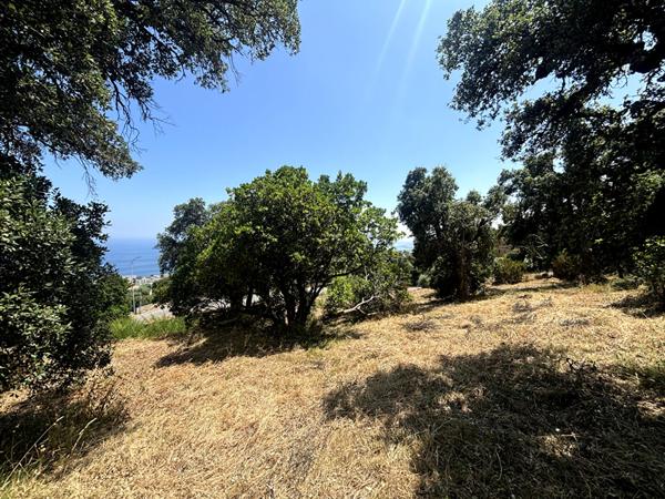 Vente TERRAIN AVEC PERMIS BASTIA CARDO 2 MAISONS