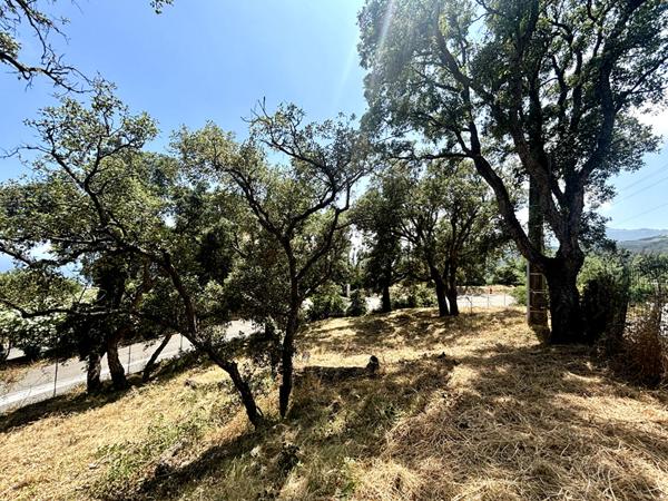 Vente TERRAIN AVEC PERMIS BASTIA CARDO 2 MAISONS